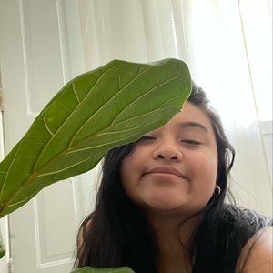 Meet your Posher, Olivia-kristen